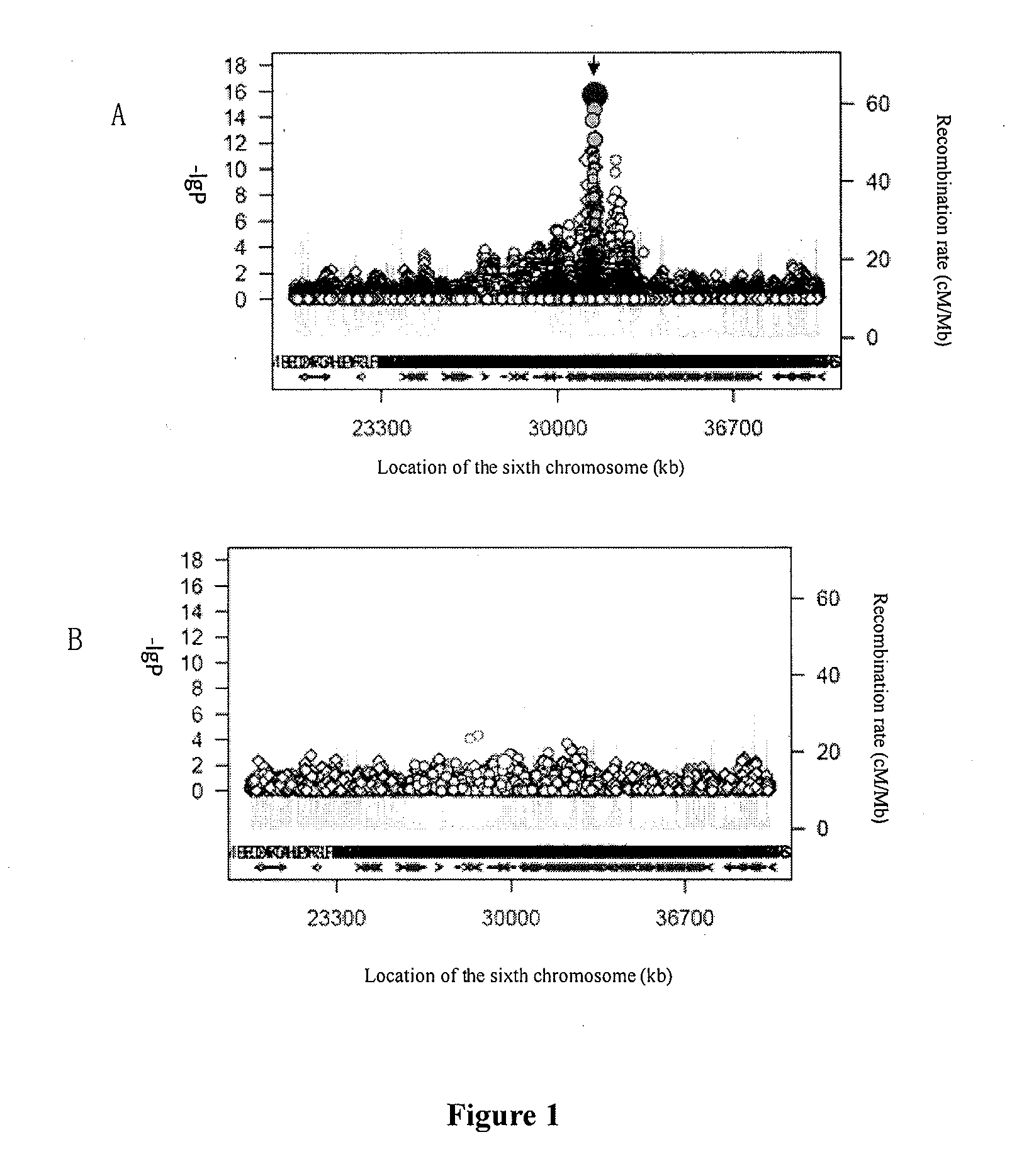 Use of hla-b*1301 allele