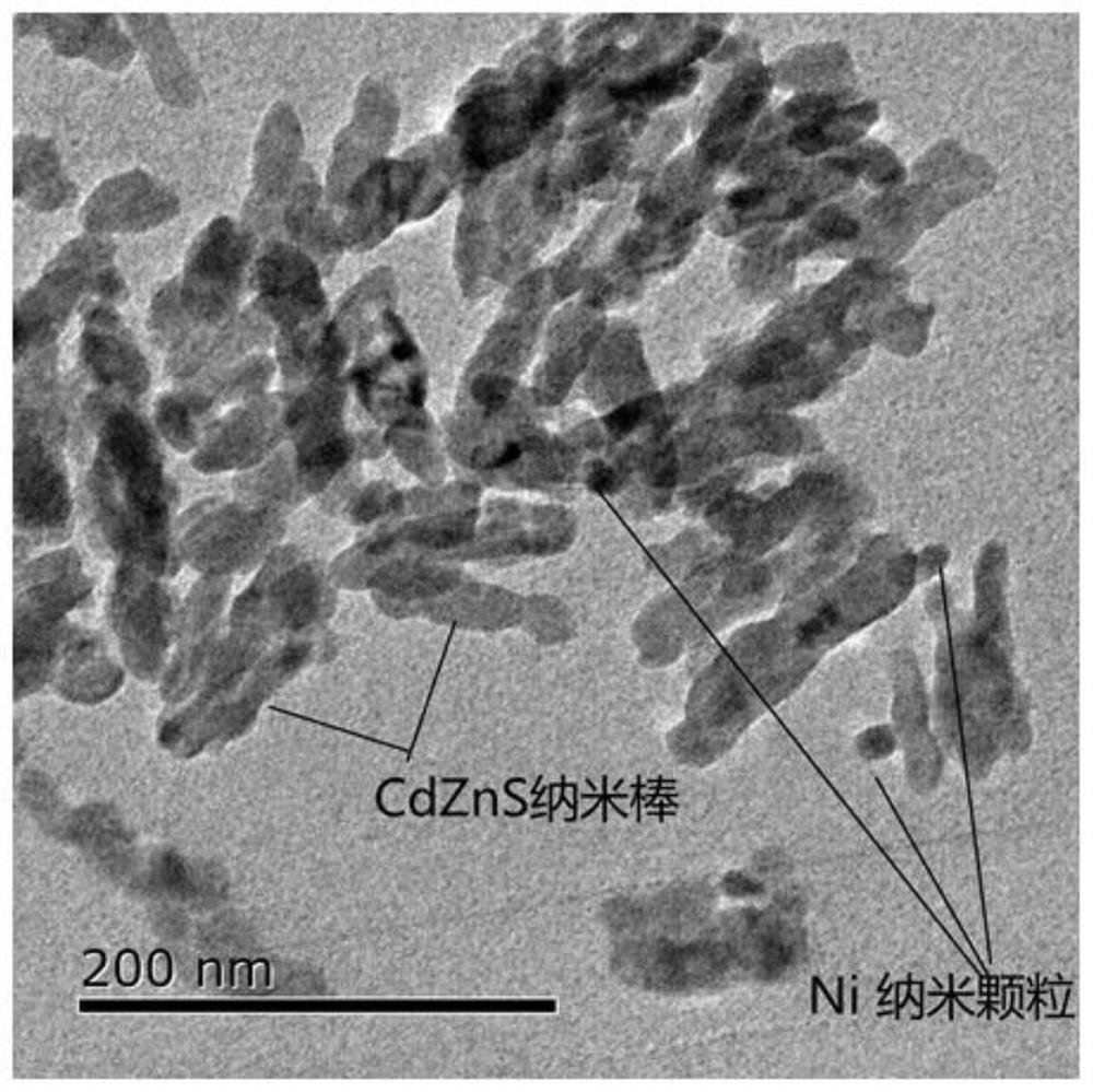 Zinc cadmium sulfide nanorod and nickel nanorod heterojunction photocatalyst, preparation method thereof, hydrogen production system and hydrogen production method