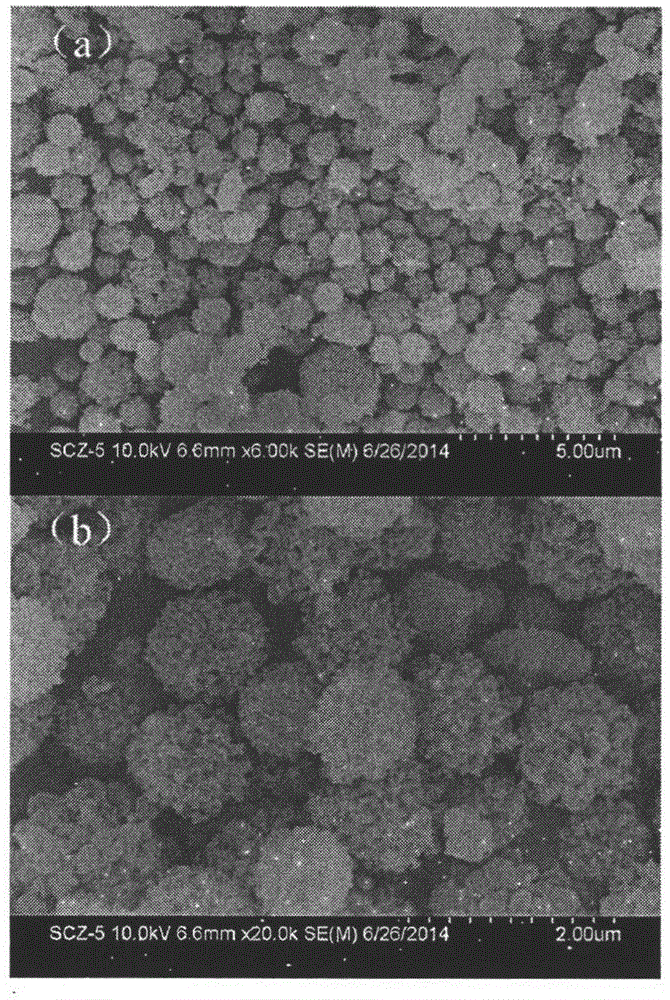 Preparation method of porous pompon-like zinc oxide material