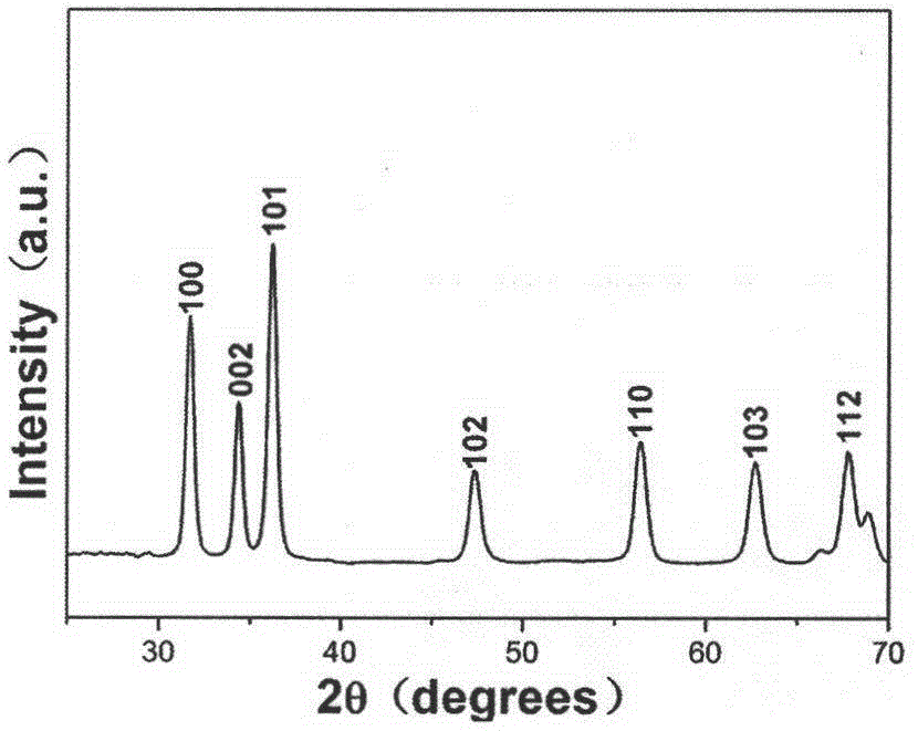 Preparation method of porous pompon-like zinc oxide material