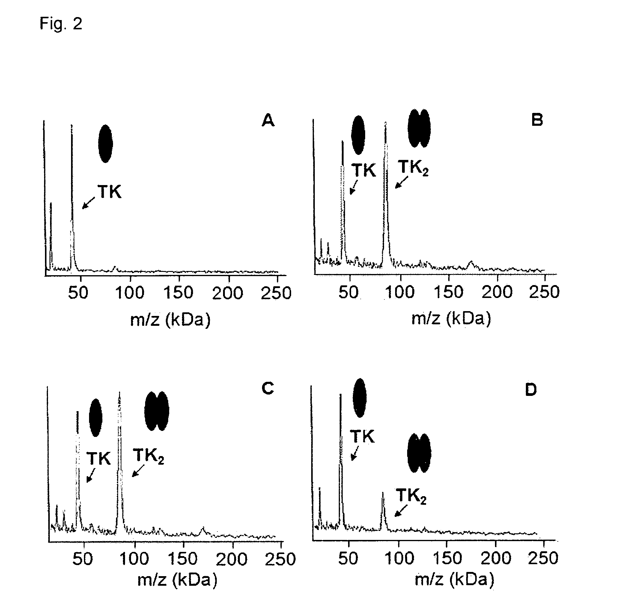 Direct mass spectrometric analysis of drug candidates targeting protein complexes