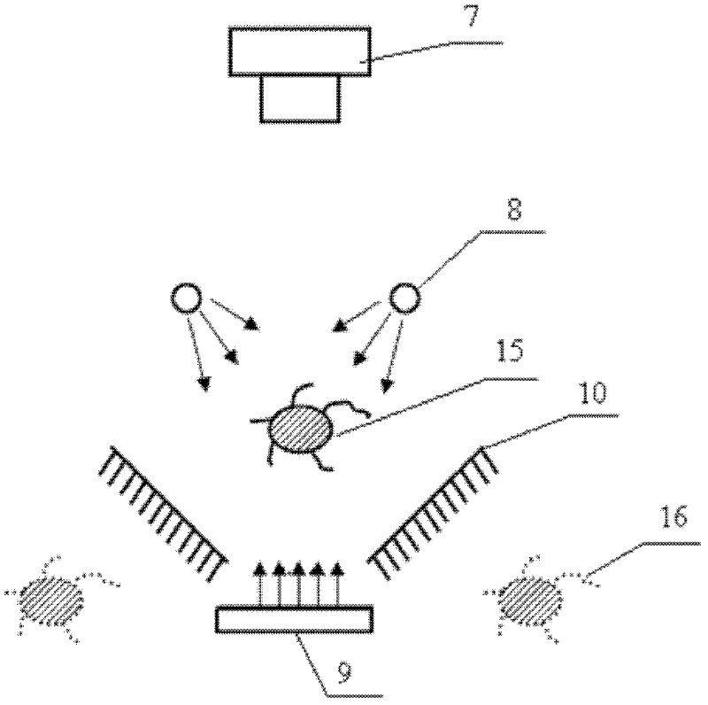 Monocular CCD (Charge Coupled Device) digitalized analysis method of multi-angle yarn appearance