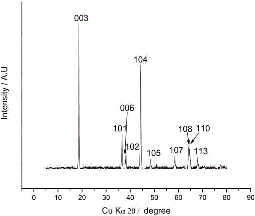 BN-coated cobalt-free Ni-Mn solid solution Ni-based positive electrode material