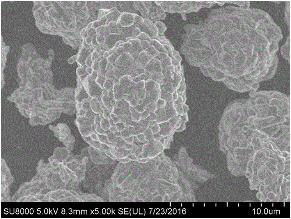 BN-coated cobalt-free Ni-Mn solid solution Ni-based positive electrode material