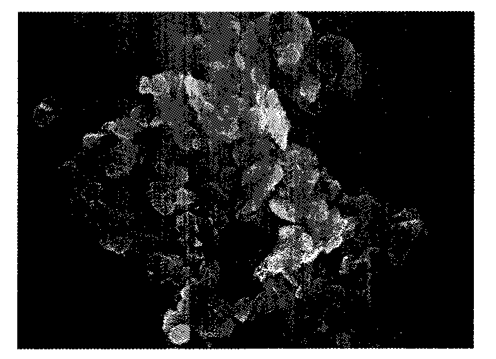 Cobalt oxide/carbon composite nano wave-absorbing material and preparation method thereof