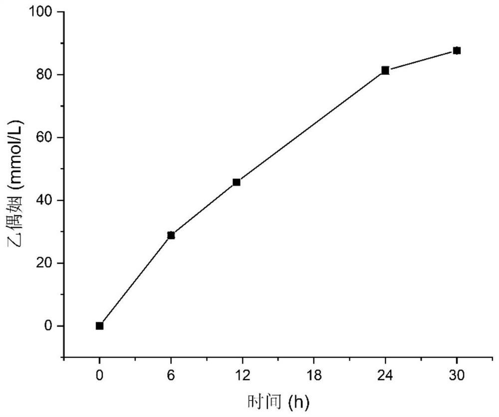 Escherichia coli engineering bacterium for producing acetoin as well as construction method and application of escherichia coli engineering bacterium in whole-cell catalytic production of acetoin