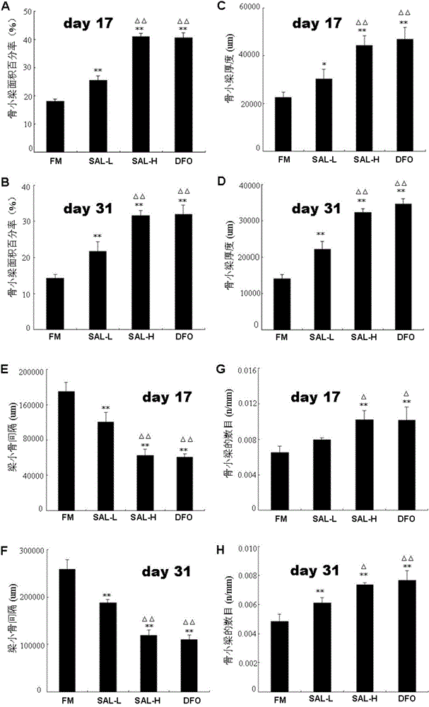 Use of salidroside in preparation of drug for promoting bone fracture repair