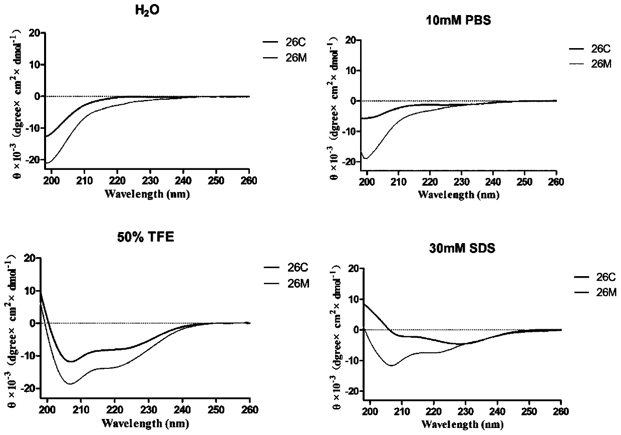 Broad spectrum type antimicrobial peptide (AMP) and application thereof