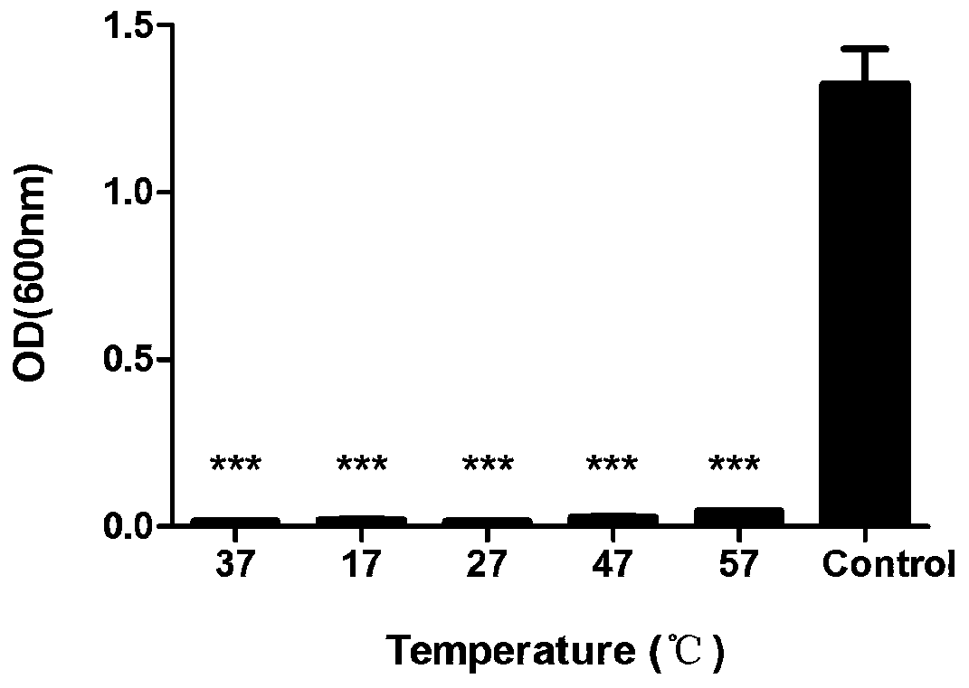 Broad spectrum type antimicrobial peptide (AMP) and application thereof