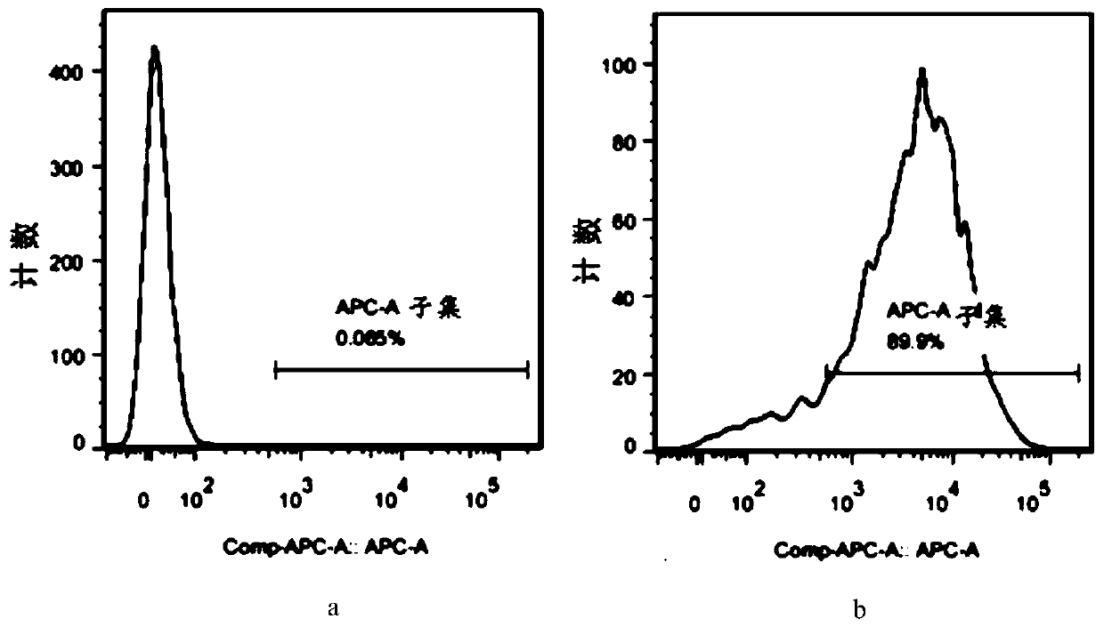 A method for constructing an animal model of systemic lupus erythematosus and its application