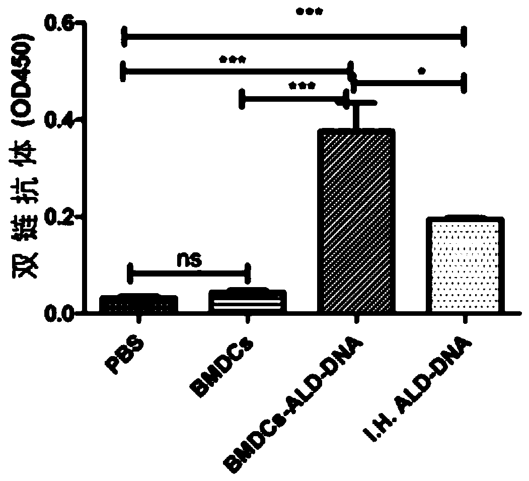 A method for constructing an animal model of systemic lupus erythematosus and its application