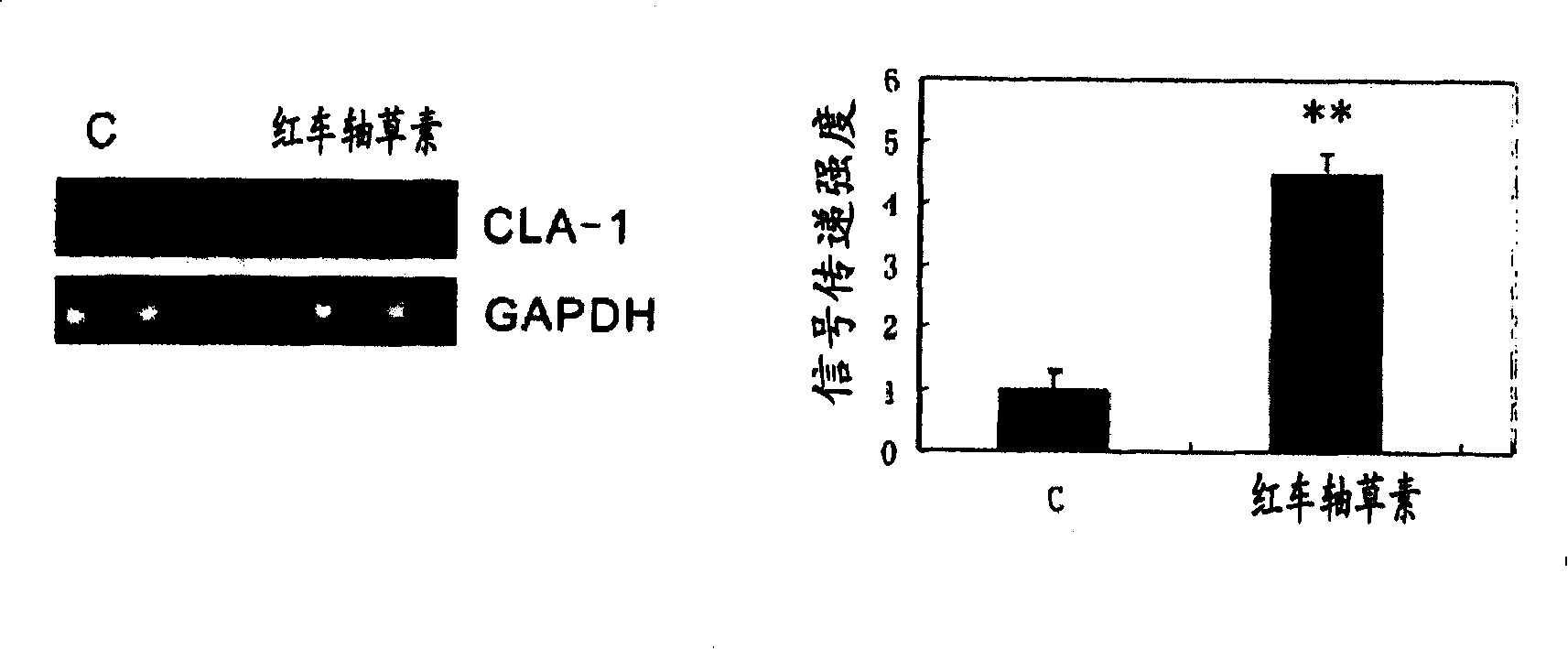 Isoflavone compound curing atherosclerosis through strengthening reverse cholesterol transport mechanism and composite thereof