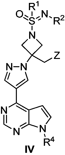 JAK (Janus kinase) inhibitor and preparation method and use thereof