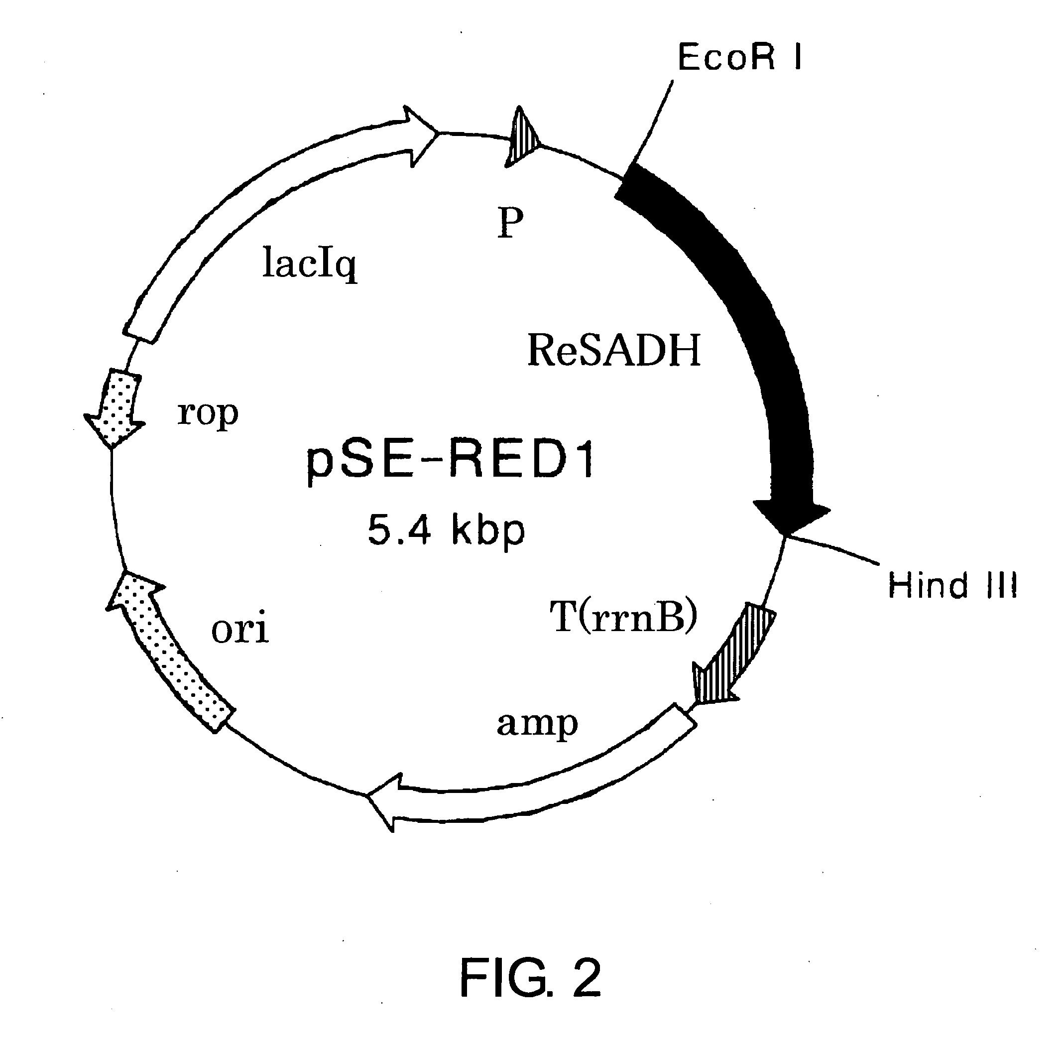 Process for Production of Optically Active Alcohol