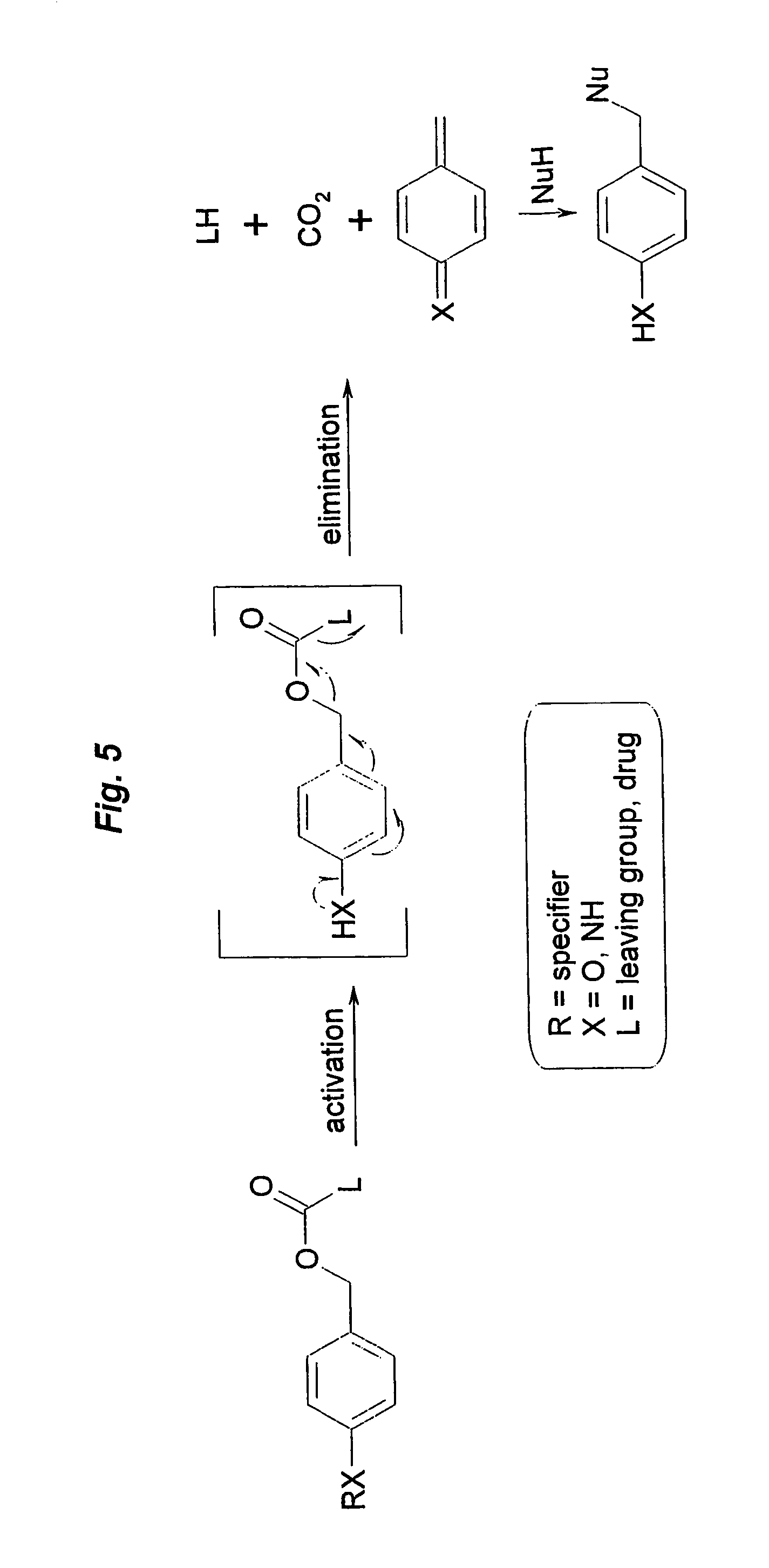 Prodrugs built as multiple self-elimination-release spacers