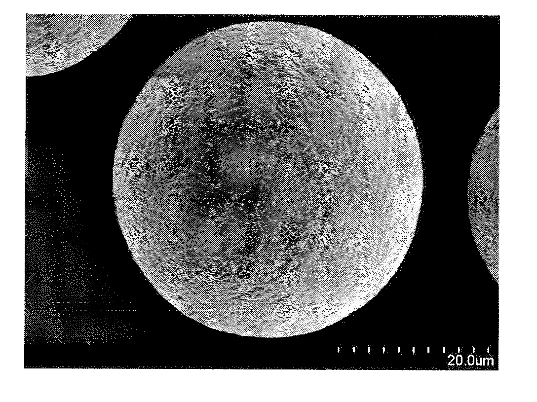 Magnetic carrier for electrophotographic developer and process for producing the same, and two-component system developer