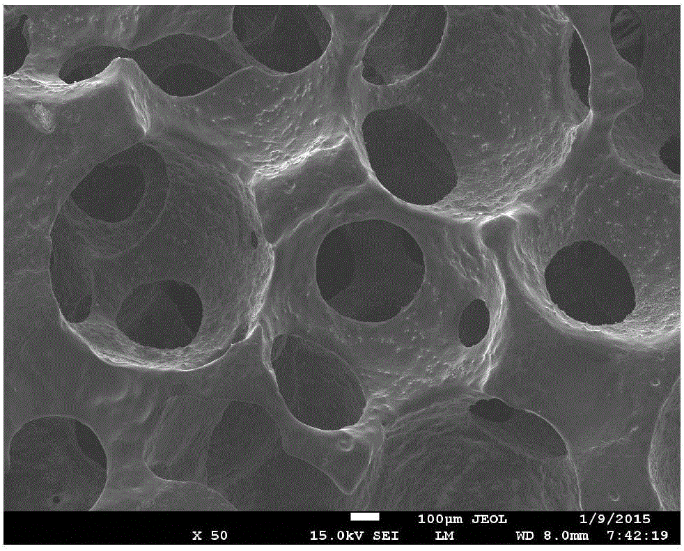 Preparation method and application of three-dimensional interpenetrating porous magnesium-based material