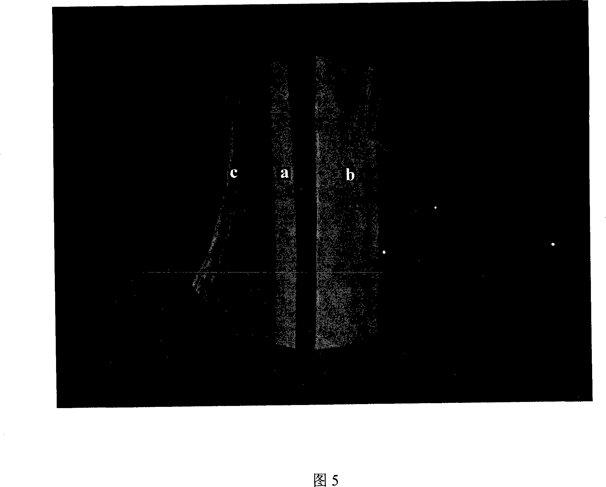 Long-acting medicine-loading orlon fibre capable of degrading partly, preparation and application thereof