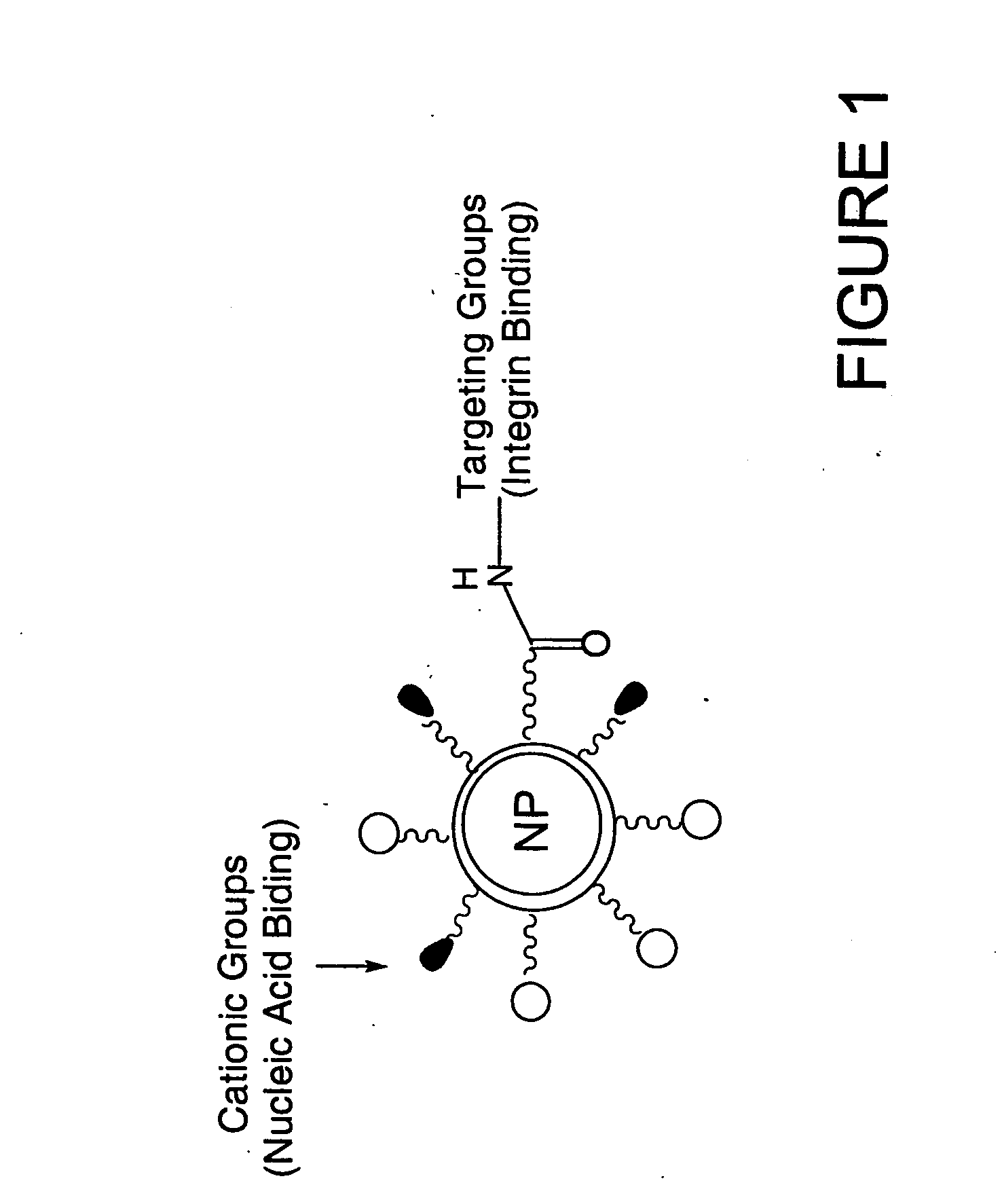 Delivery system for nucleic acids