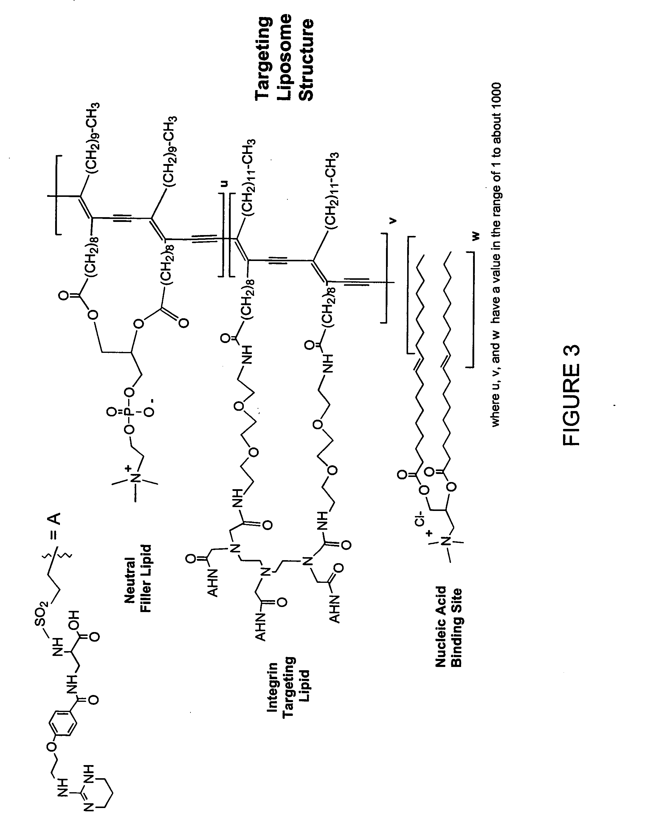 Delivery system for nucleic acids