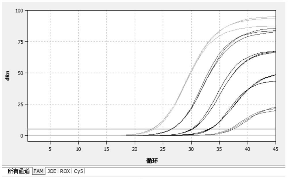 Primer probe combination and detection kit for detecting mycoplasma pneumoniae, chlamydia pneumoniae and adenovirus