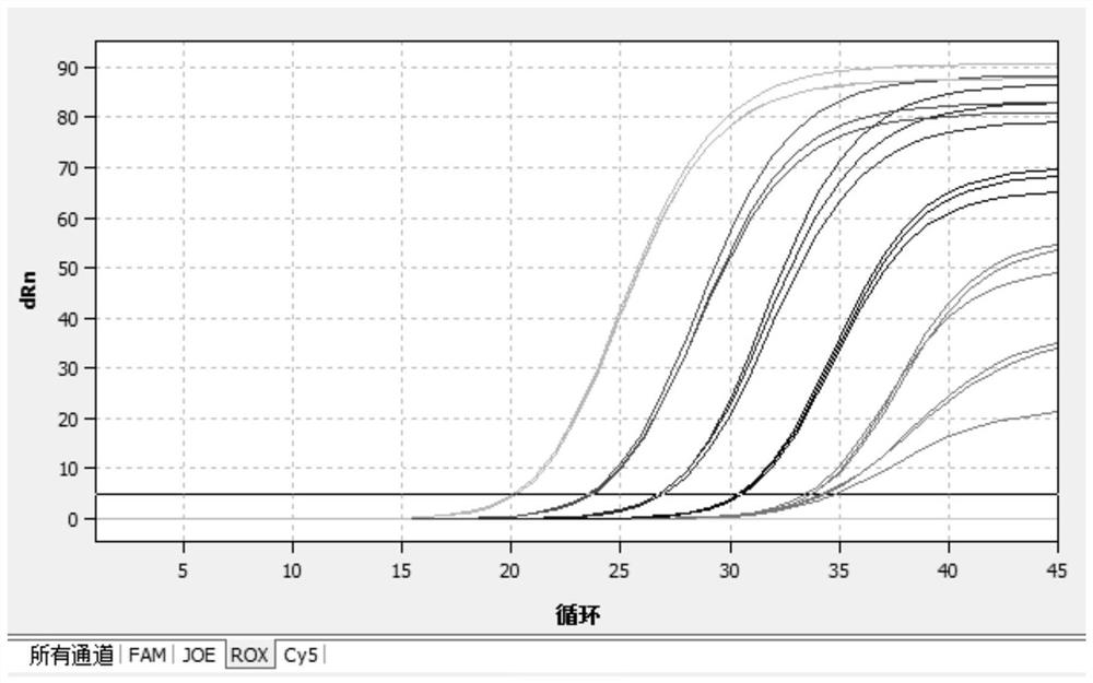 Primer probe combination and detection kit for detecting mycoplasma pneumoniae, chlamydia pneumoniae and adenovirus