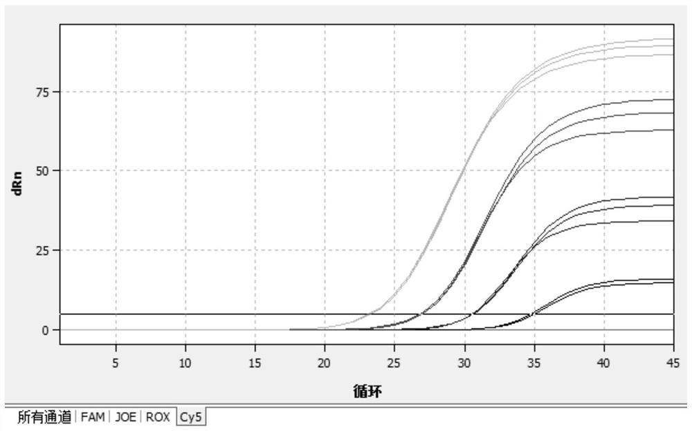 Primer probe combination and detection kit for detecting mycoplasma pneumoniae, chlamydia pneumoniae and adenovirus