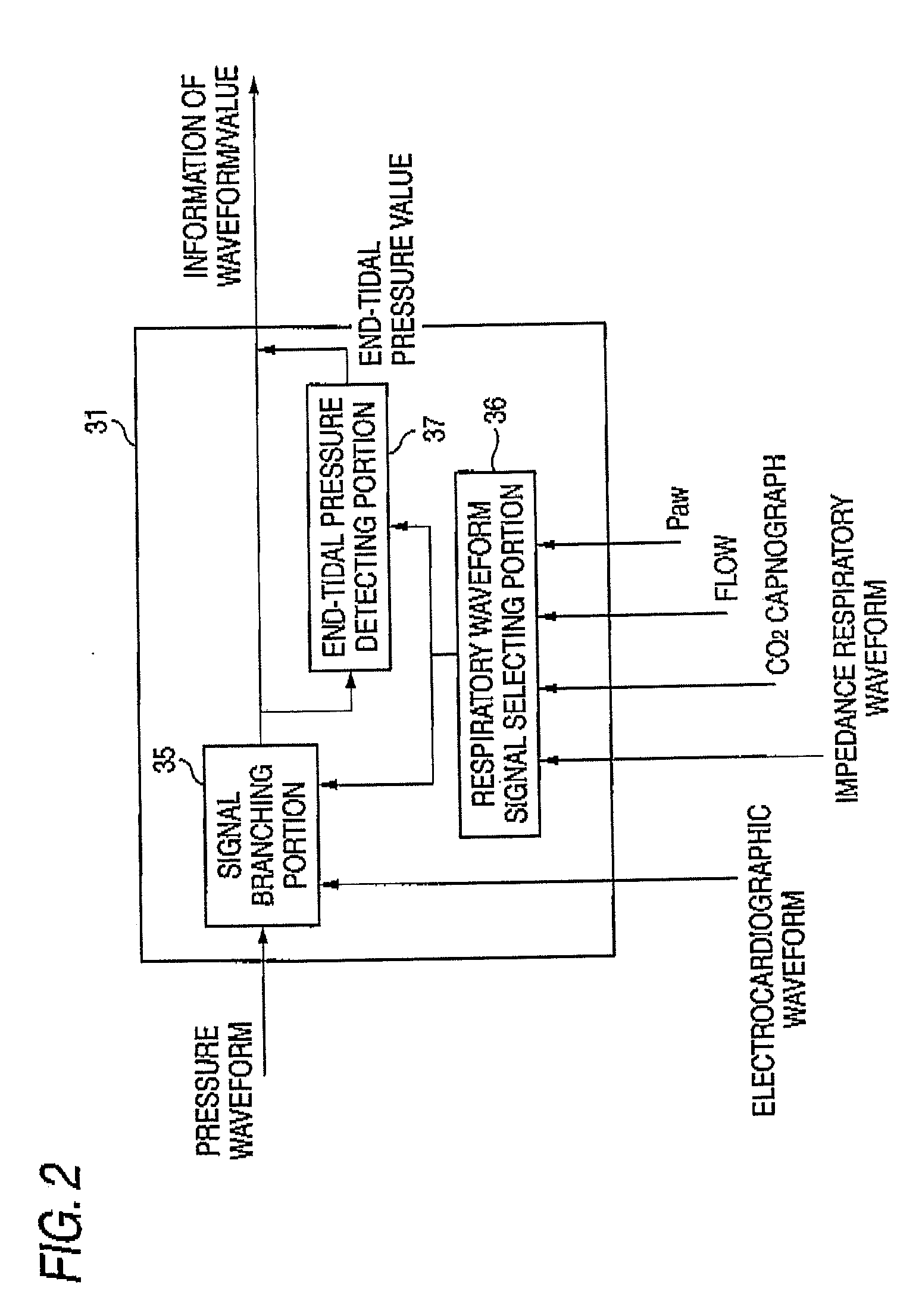 Biological signal measuring apparatus