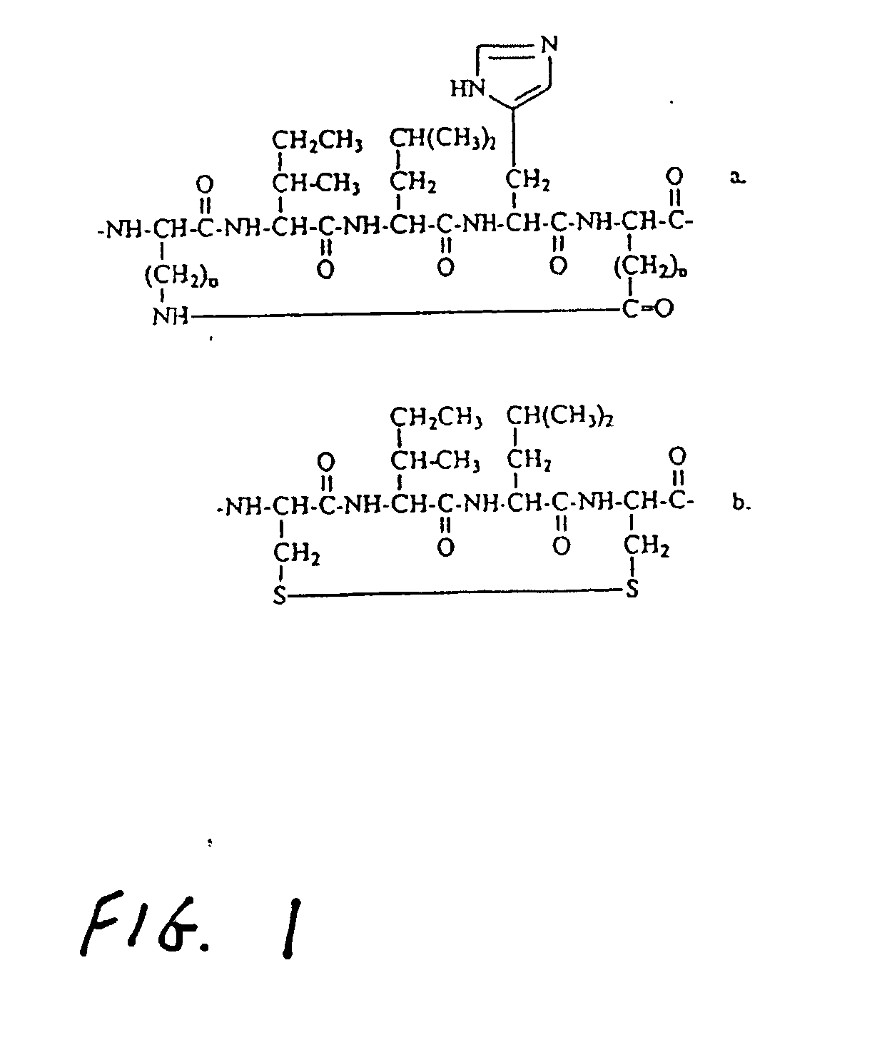 Helicomimetics and stabilized lxxll peptidomimetics