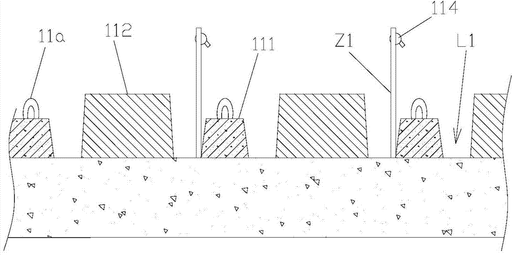 Method for jointly planting blueberry with improved soil