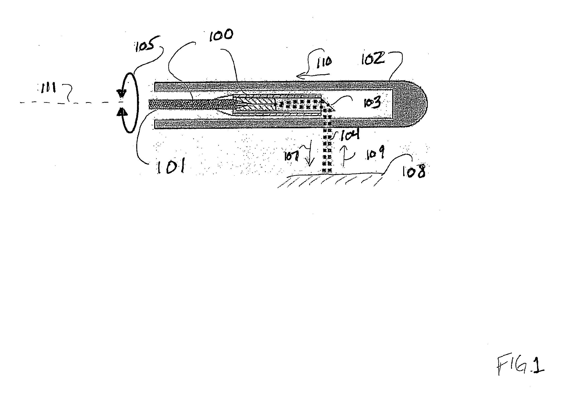 Method and Apparatus for Inner Wall Extraction and Stent Strut Detection Using Intravascular Optical Coherence Tomography Imaging