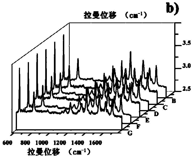 Silver nanoparticle modified carbon nanotube-egg membrane composite SERS substrate as well as preparation method and application thereof