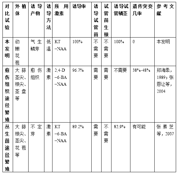 Method for inducing garlic test tube bulb