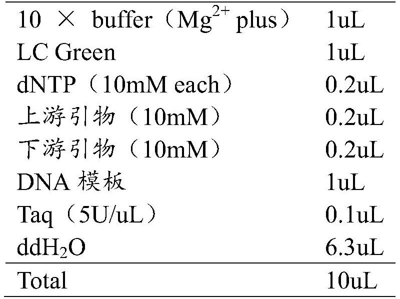 Micropterus salmoides sex specific SNP molecular marker primer and application thereof