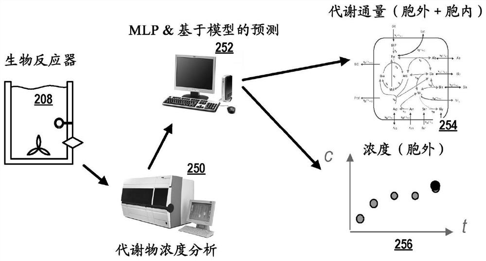 Predicting the metabolic condition of a cell culture