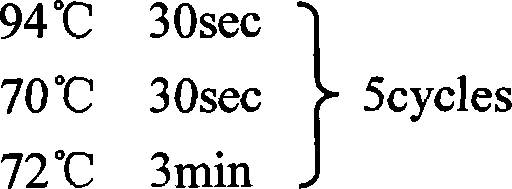 DNA fragment related to pig polydactyly