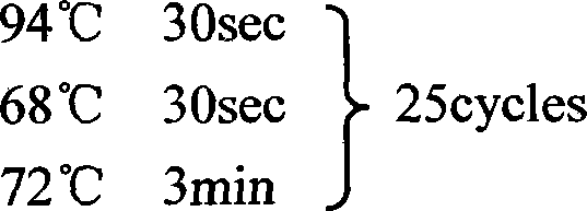 DNA fragment related to pig polydactyly