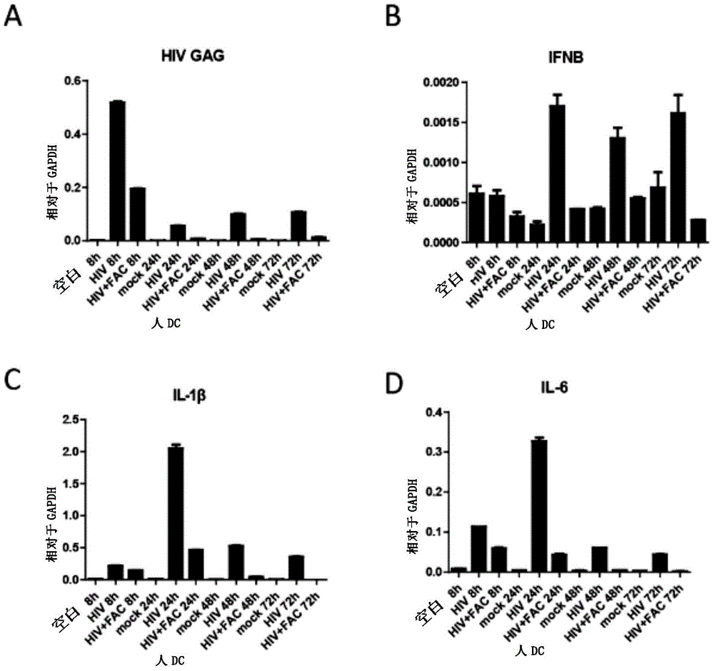 Application of citrate ions and iron ions to inhibition of RNA viruses