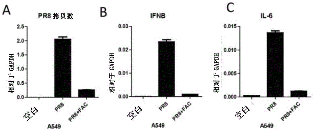 Application of citrate ions and iron ions to inhibition of RNA viruses