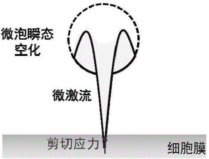 Gene introduction chip and gene introduction method