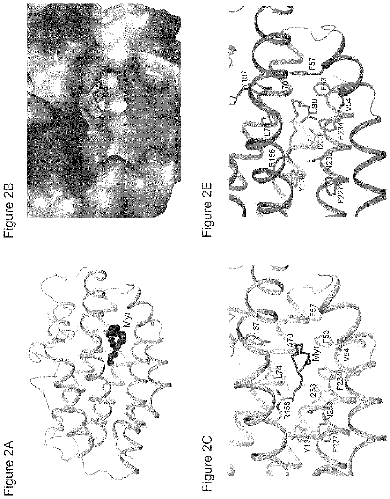 Method for significantly increasing lentiviral production