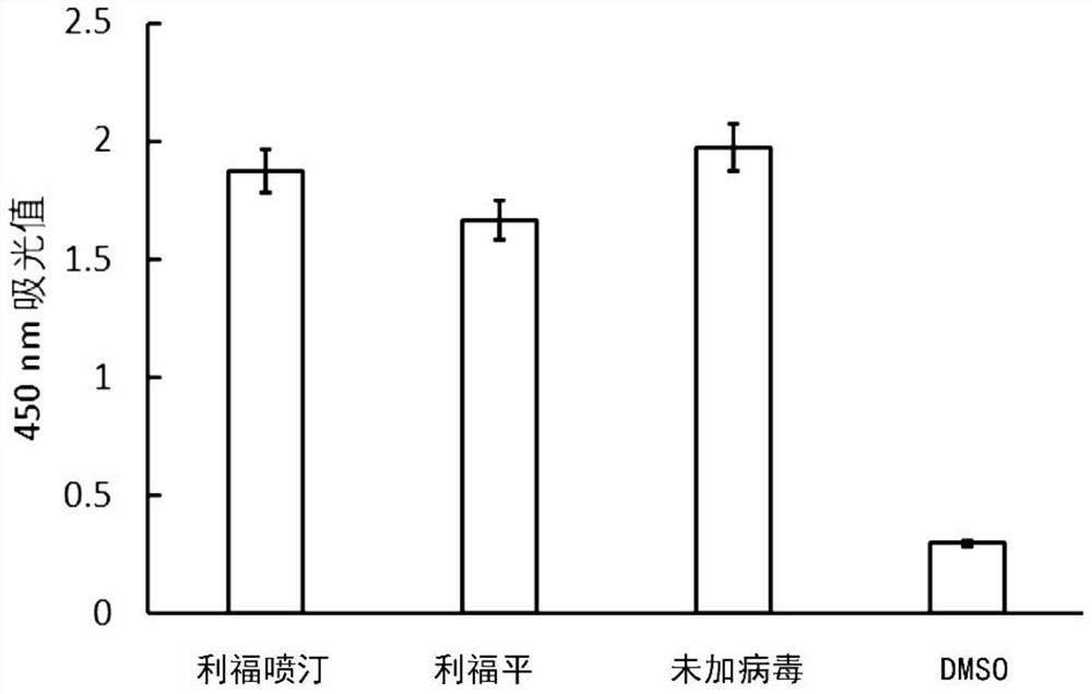 Application of rifamycin antibiotics in the preparation of anti-yellow fever virus infection drugs