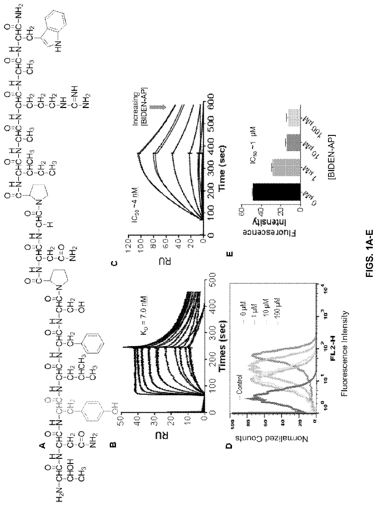 Therapeutic peptides