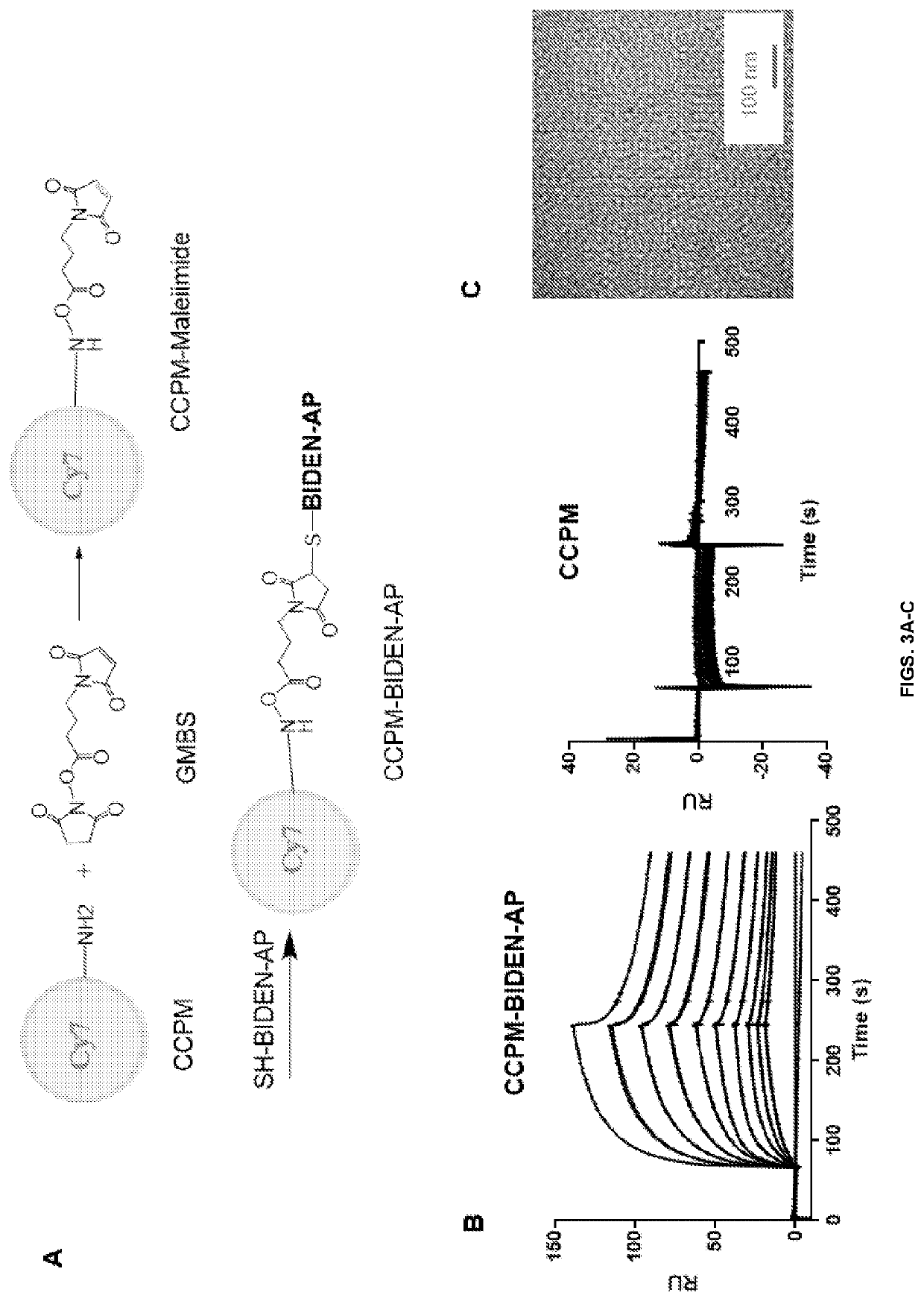 Therapeutic peptides