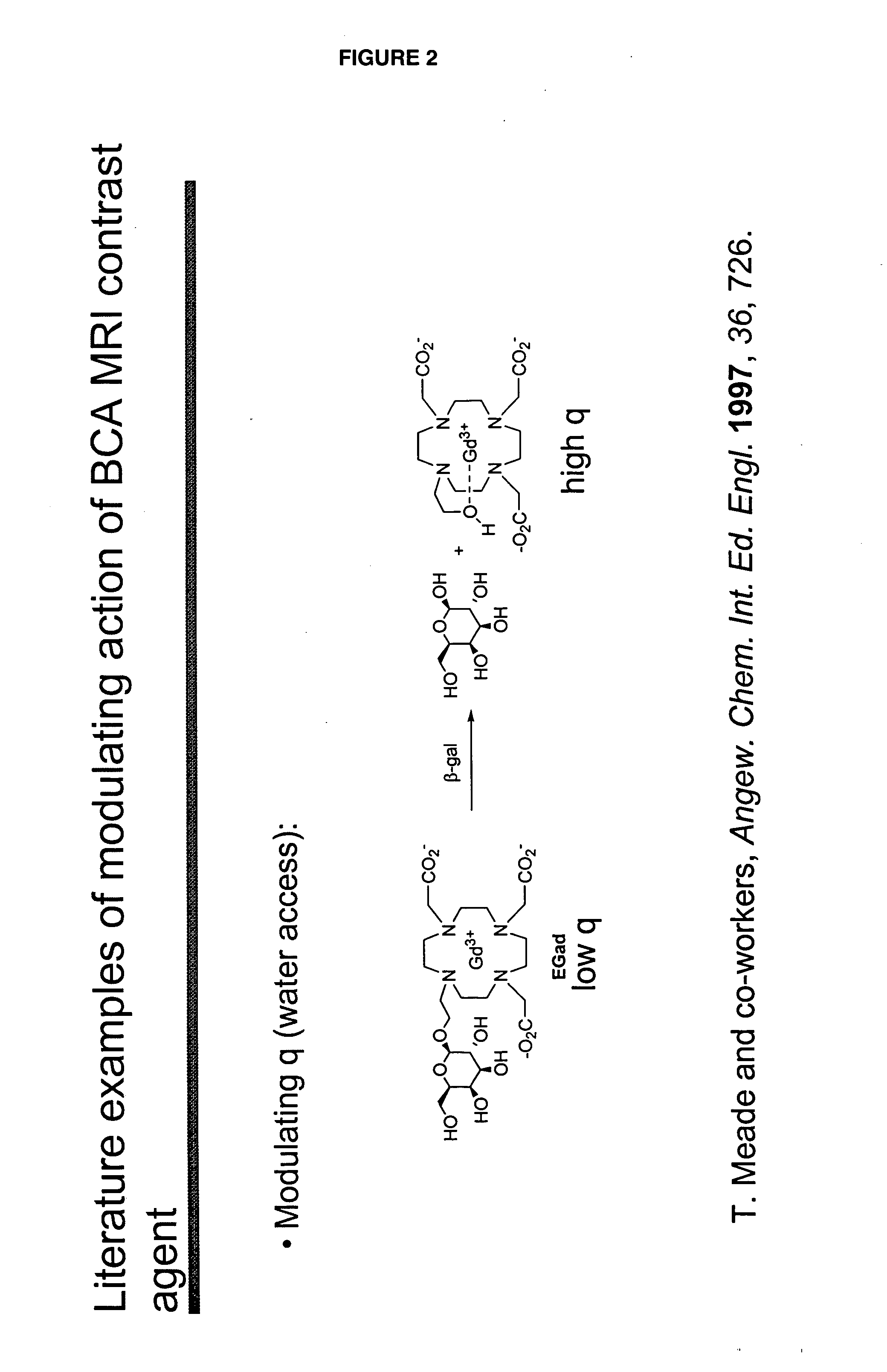 Biochemically-activated contrast agents for magnetic resonance imaging