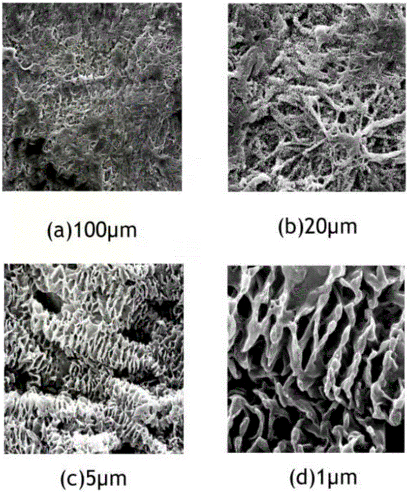 Polycaprolactone and silk fibroin electrospun fibrous membrane with surface of continuous laminated micro-nano structure and preparation method and application thereof