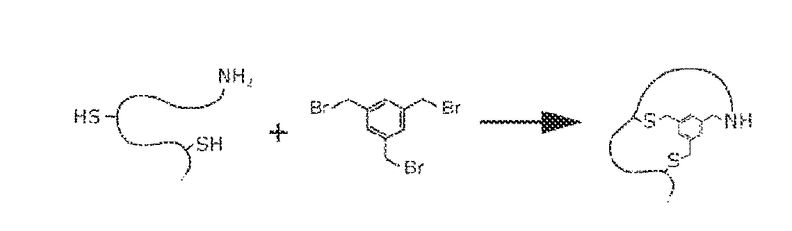 Modification of polypeptides