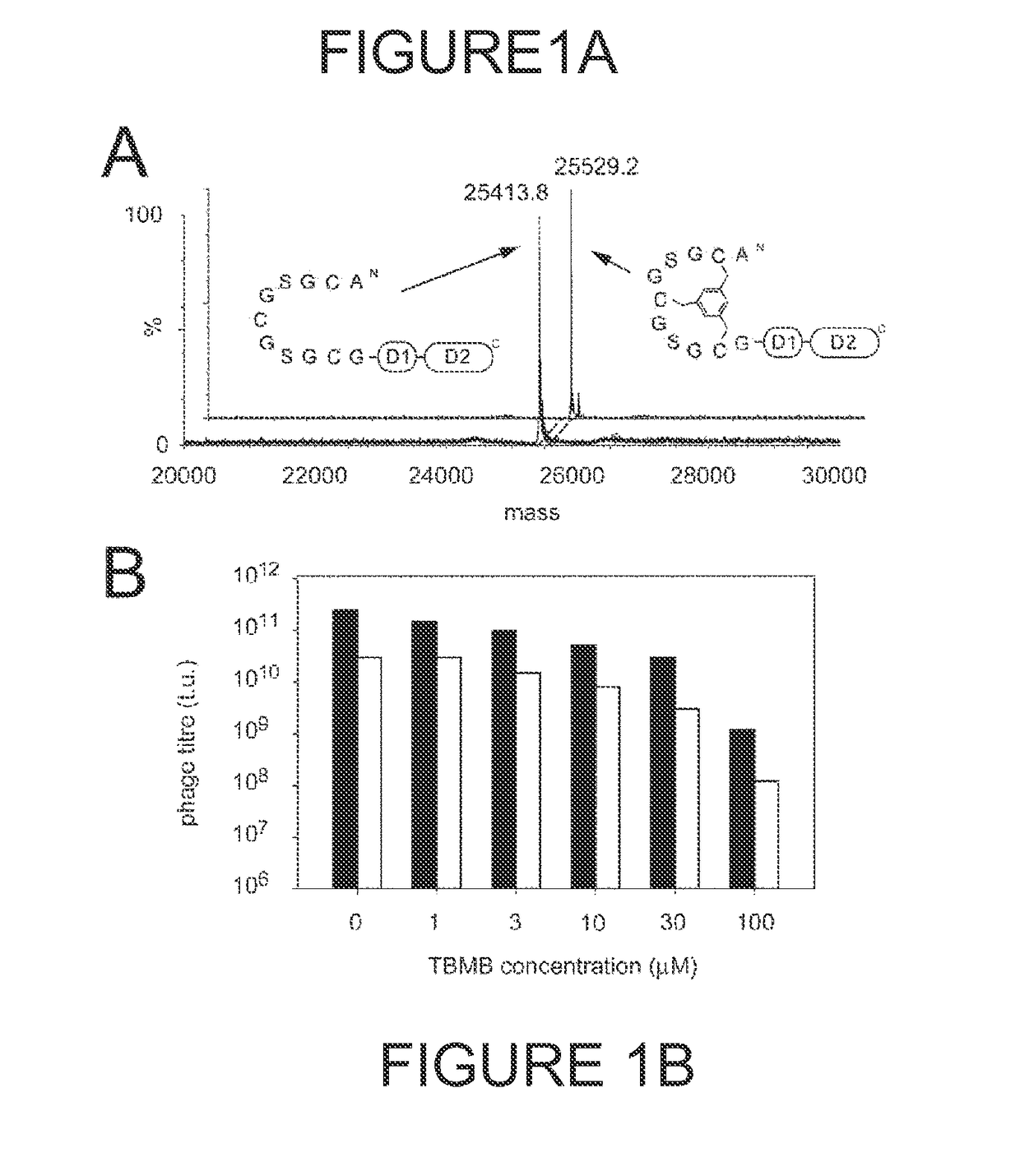 Modification of polypeptides