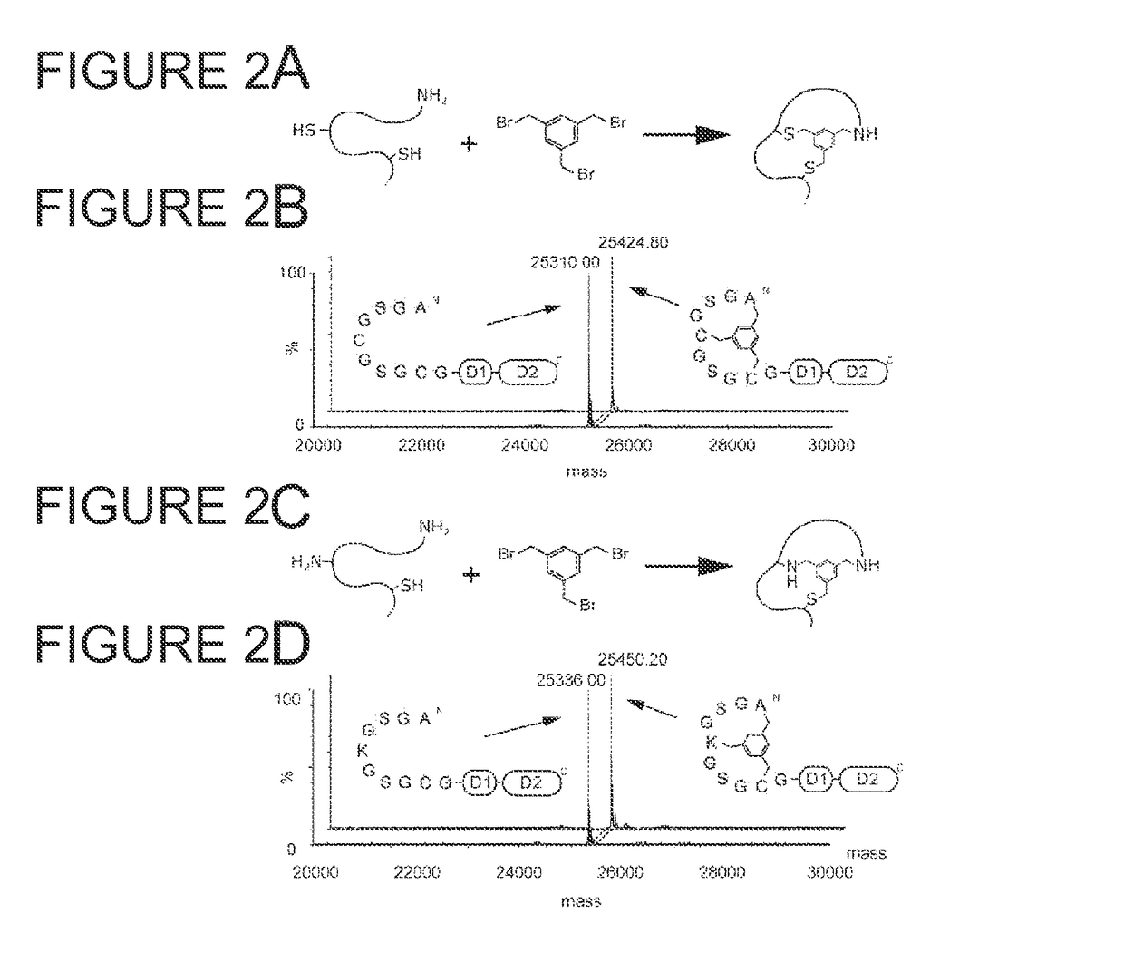 Modification of polypeptides