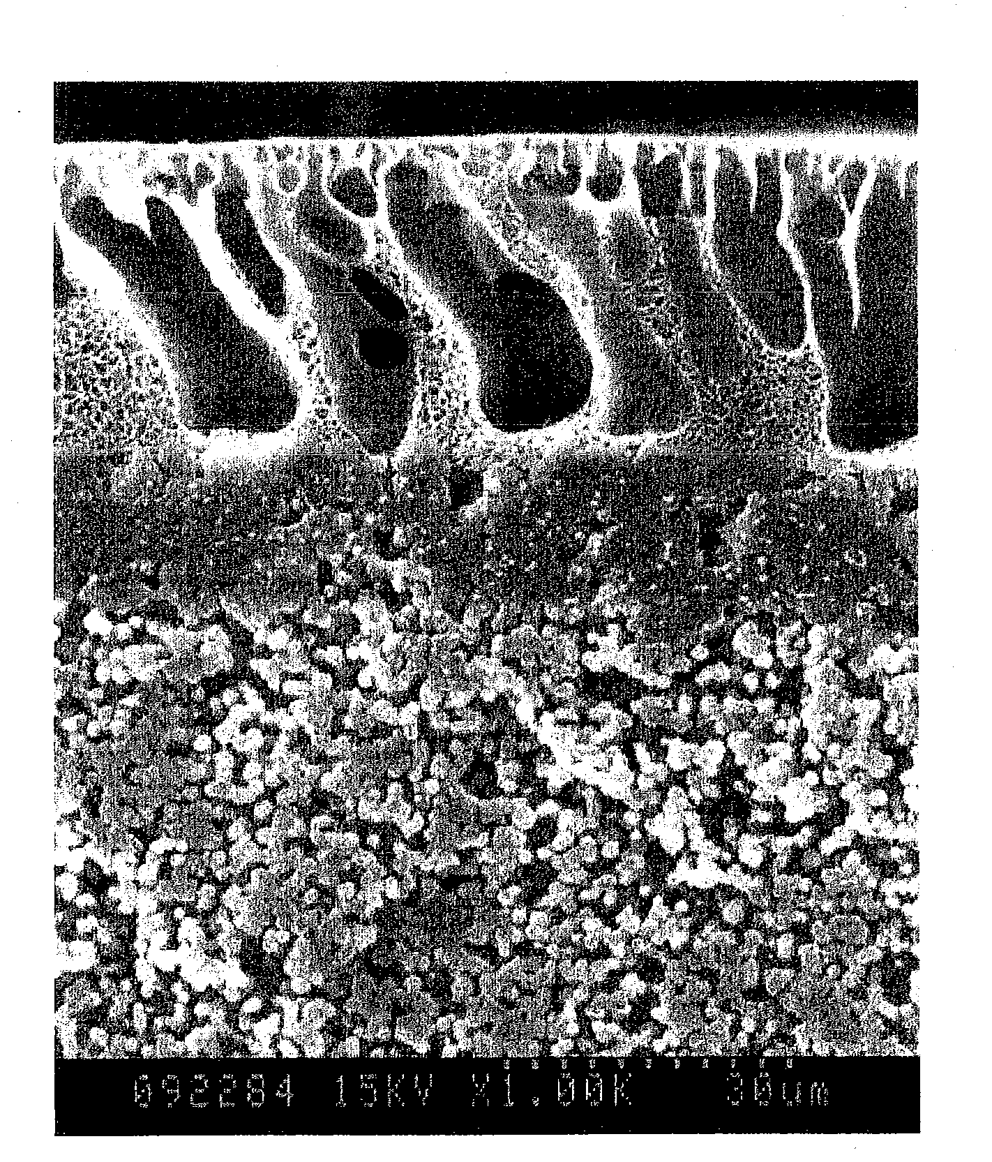 Polymer separation membrane and process for producing the same